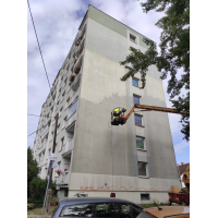 432-341-paza3.jpg