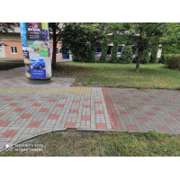 782-8.jpg